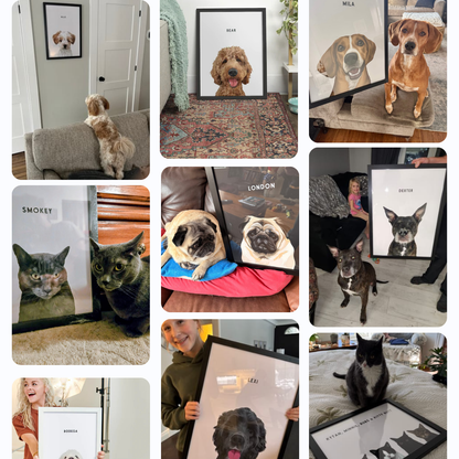 Förvandla ditt husdjur till en Disney-poster